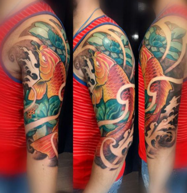 Gambar Koi di Kolam Batu